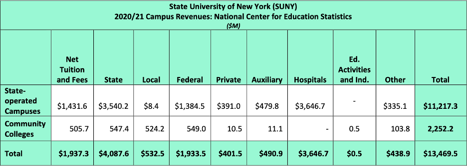state universities new york campus revenues