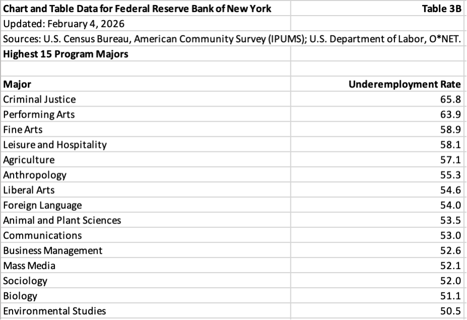 table listing the 15 highest (worst) underemployment program major underemployment rates
